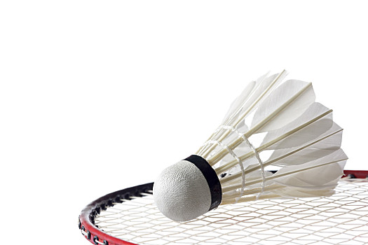 山东泰山队 山东泰山队