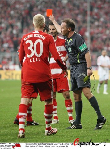 世界女排联 世界女排联