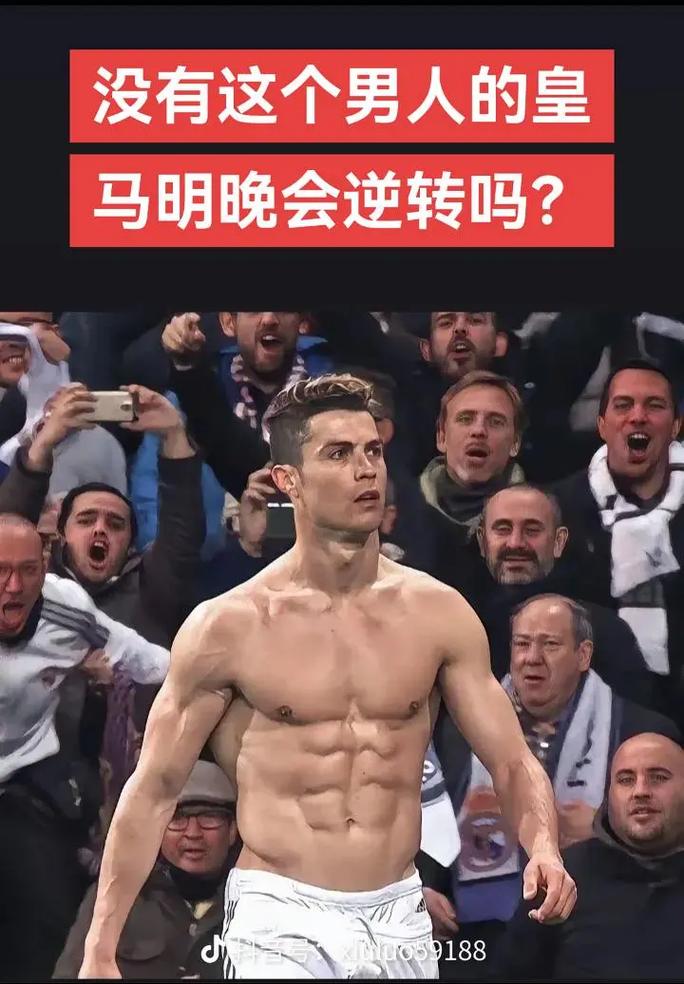 告阶段性格